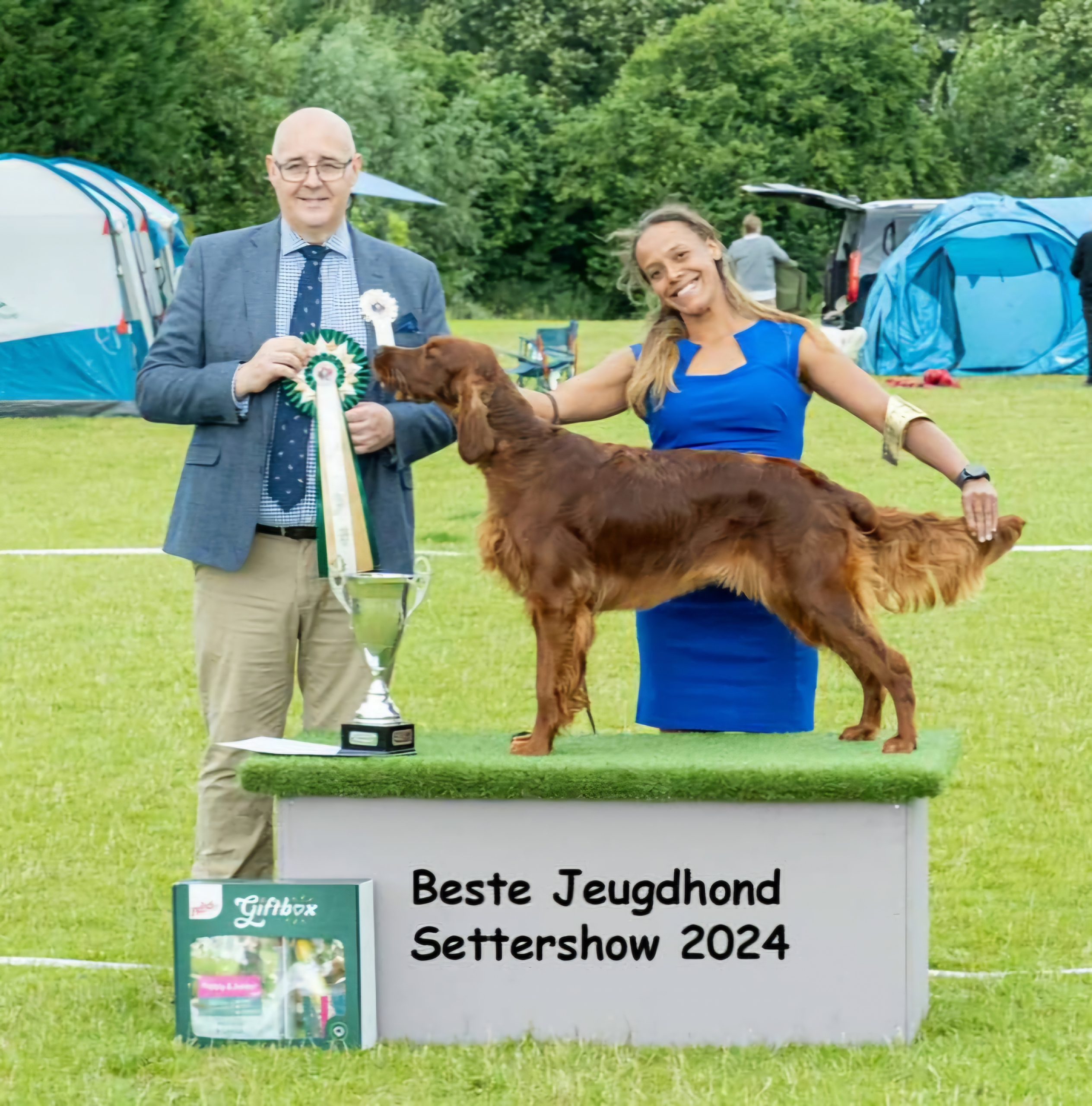 Novi Best in Show Junior van de Settershow 2024