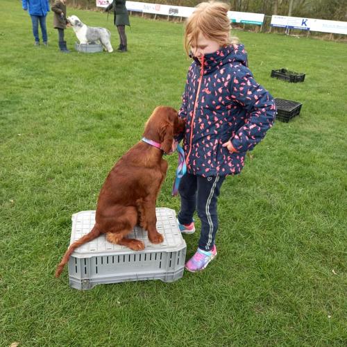 19-weken-samen-met-Ellenoor